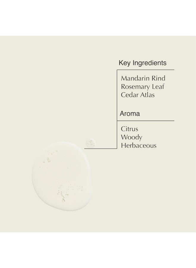 أيسوب Pack of 2 Reverence and Resurrection Hand Wash 500mL - Image 3